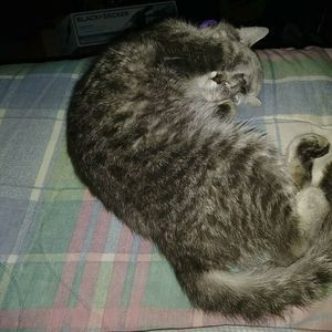 Meet your Posher, Katy